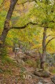 Carl Zeiss 85mm f/1.4 Milvus