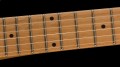 EVH Wolfgang Special QM