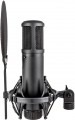 sE Electronics sE2200