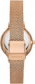 Skagen Anita Lille SKW3107