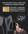 HiFiMan Svanar Wireless LE