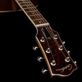 Godin Metropolis RN GT EQ