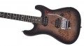 EVH 5150 Series Deluxe Poplar Burl