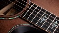 Taylor Builder's Edition 914ce WHB