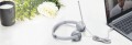 Lenovo 100 Stereo Analog Headset