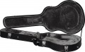 Epiphone Dave Grohl DG-335