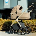 Carrello Vector 2 in 1