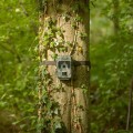Wildcamera XL SM4 Pro