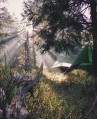 Amazonas Wing Tarp