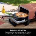 Ninja Woodfire OO101
