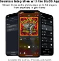 Bluesound Node Icon