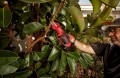 Milwaukee M12 BLPRS-0