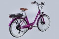 Dorozhnik eRUBY DD FR 17.5 Ah 500W 2025