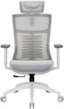 OfficePro Balance OC620