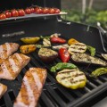 Weber Spirit EP-425