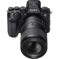 Sony 100mm f/2.8 GM FE Macro