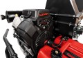 Cedrus RBR13