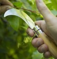 OPINEL 10 Billhook