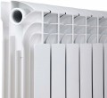 Thermo Alliance Bi-Ferrum 300/100