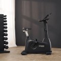 Hammer Maximum UB 8000
