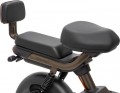 Corso Raven 800W 20Ah