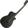 Ibanez AEG1221
