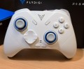 Flydigi Direwolf 4
