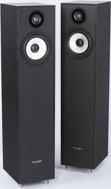 Pylon Audio Pearl 20