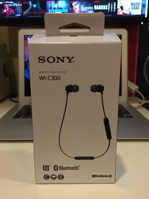 Sony WI-C300