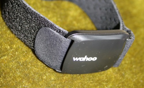 Wahoo TICKR FIT