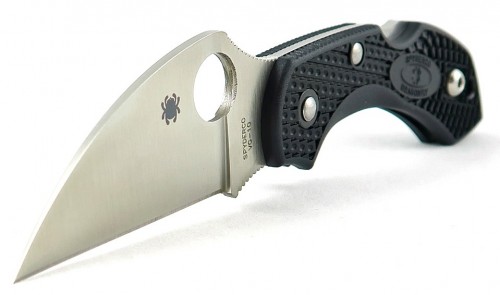 Spyderco Dragonfly 2 Wharncliffe