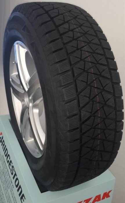 Bridgestone Blizzak DM-V2