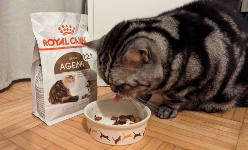 Royal Canin Ageing 12+ 2 kg