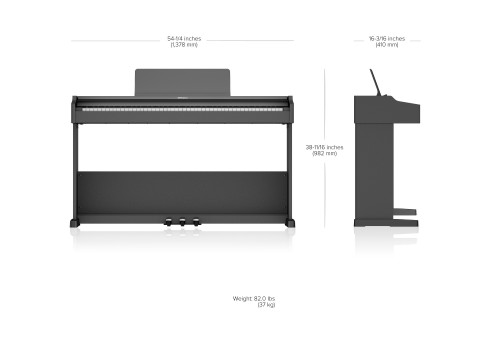 Roland RP107