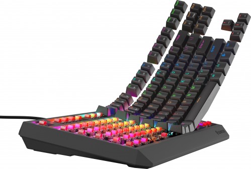 Genesis Thor 230 TKL Lite