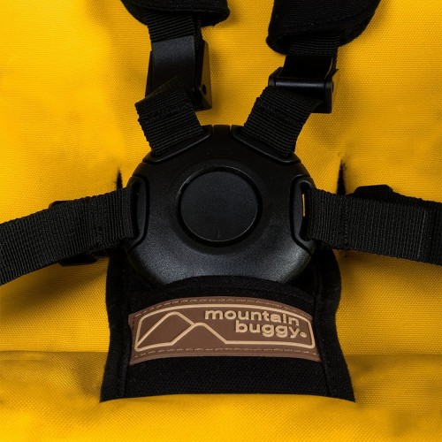 Mountain Buggy Swift 2 in 1