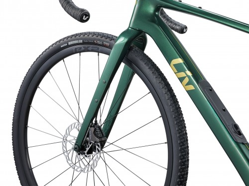 Giant Liv Devote Advanced 2 2024 frame XS