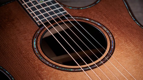 Taylor Builder's Edition 914ce WHB