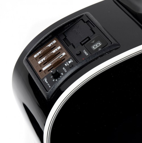 Takamine FT341 Limited edition