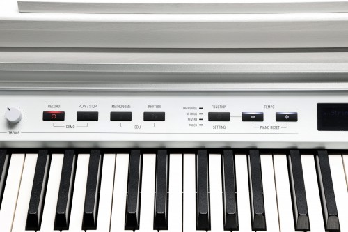 Kurzweil CUP P1
