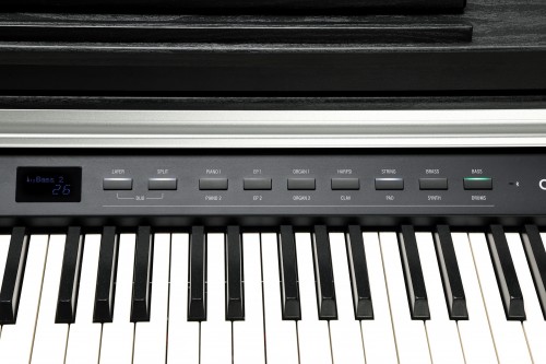 Kurzweil CUP P1