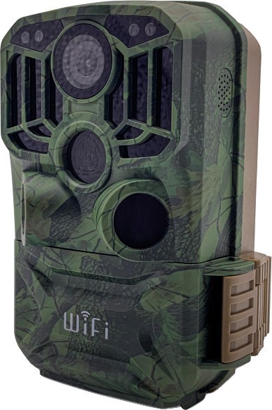 Braun Scouting Cam 800