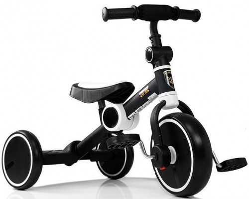 LEAN Toys Tricycle Bike