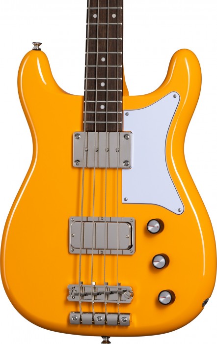 Epiphone Newport Bass