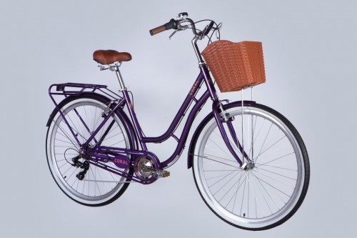 Dorozhnik Coral Vbr 2025