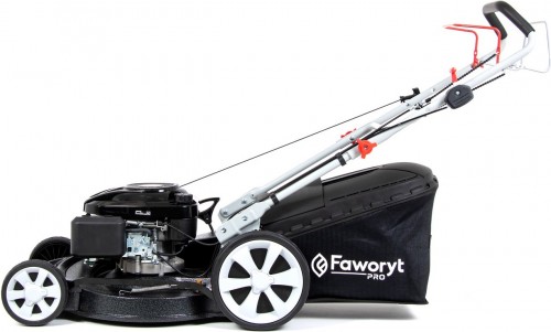FAWORYT Pro MP53 SLA