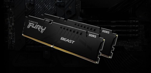 Kingston Fury Beast DDR5 1x64Gb