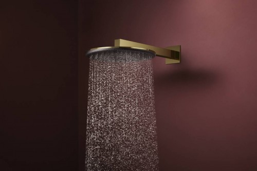 Hansgrohe Raindance Alive S 300 24520000