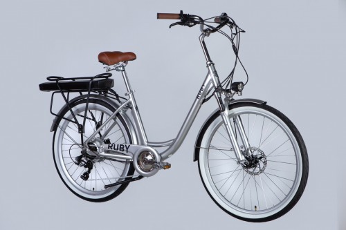 Dorozhnik eRUBY DD FR 500W 2025