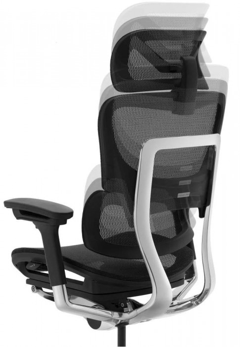 ADAPWORK L1 Mesh Lead Ergochair Deep